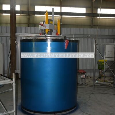 주문 RQ3-100-9 구덩이형 가스 탄화연소 온라인 제조